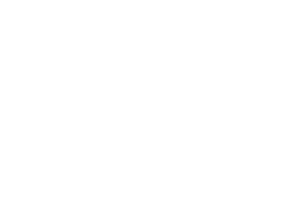 Zebre